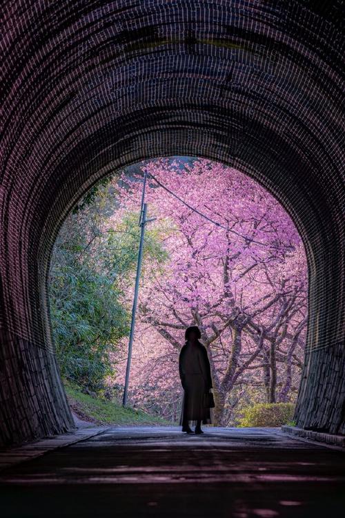 隧道(图源:x.com